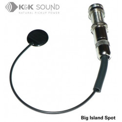 K&K Sound - Big Island Spot Tonabnehmer intern